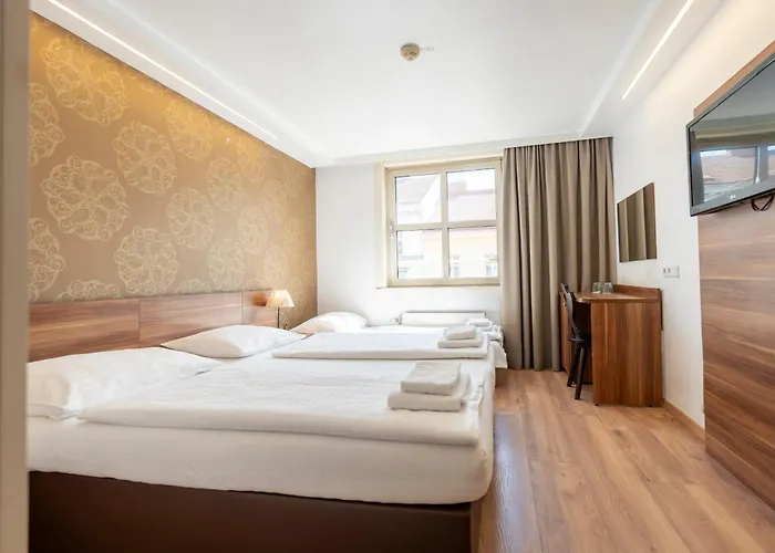 Hotel Enziana Vienna
